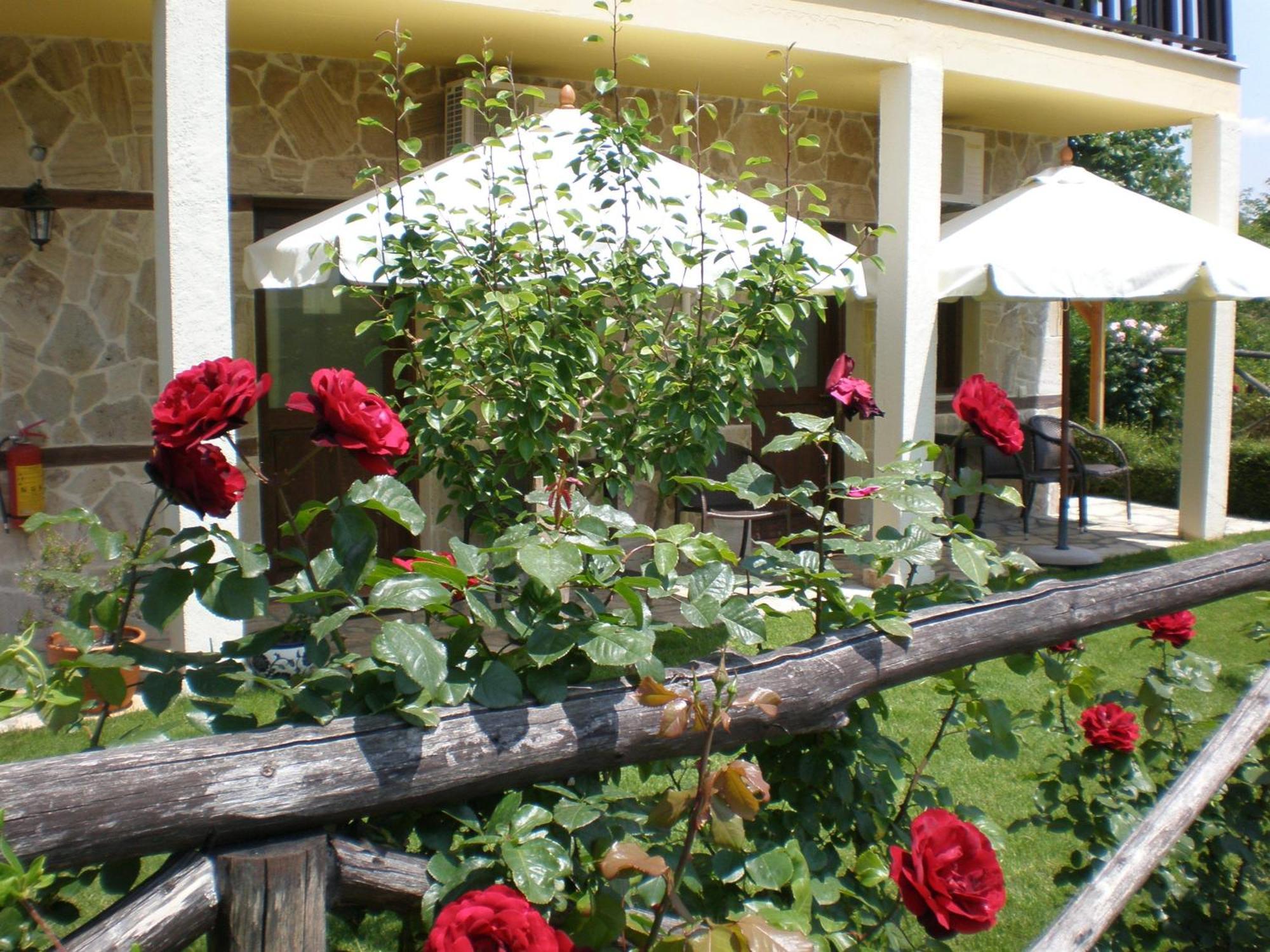 Olympia Guesthouse Vergina Dış mekan fotoğraf